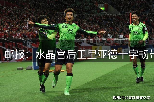 邮报：水晶宫后卫里亚德十字韧带撕裂，本赛季大部分时间将缺阵
